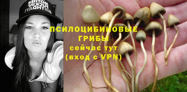 герыч Бородино